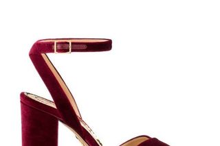 Charlotte Olympia