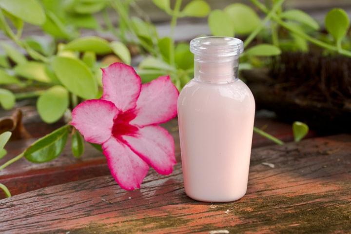 conservación de flores naturales