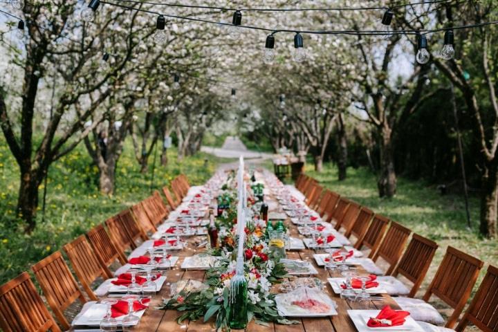 mesa-alargada-rustica-rojo-flores-hojas-bombillas-campo.jpeg