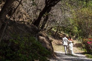 4 Weddings México