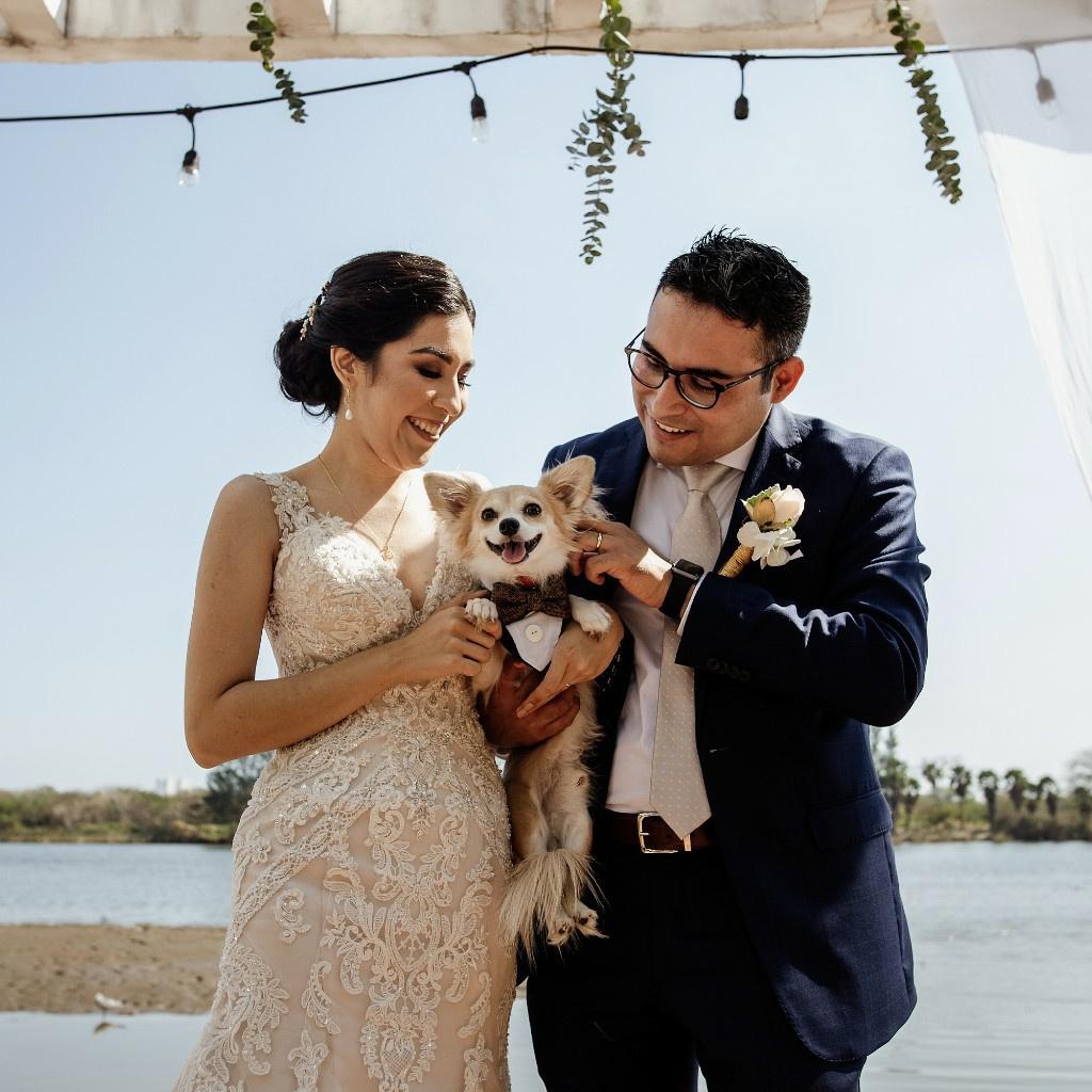 perro vestido de smoking con pareja de novios