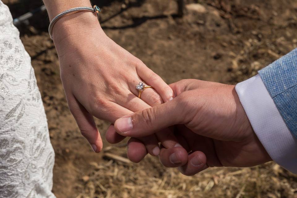 pareja de la mano mostrando anillo de compromiso