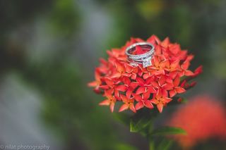 anillo de compromiso sobre flores rojas