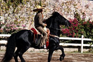 Hacienda Real Puebla