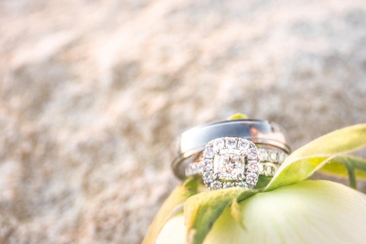 anillo de compromiso y argolla sobre planta