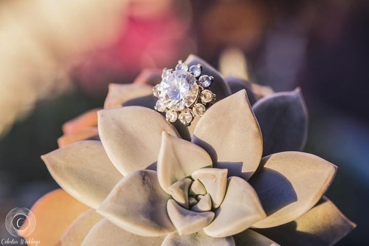 anillo de compromiso elegante sobre suculenta al aire libre