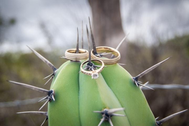 anillo de compromiso y de boda en cactus