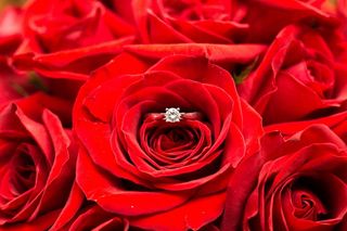 anillo de compromiso en pétalos de rosas rojas