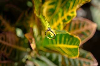 foto anillo de compromiso en hojas verdes y amarillas