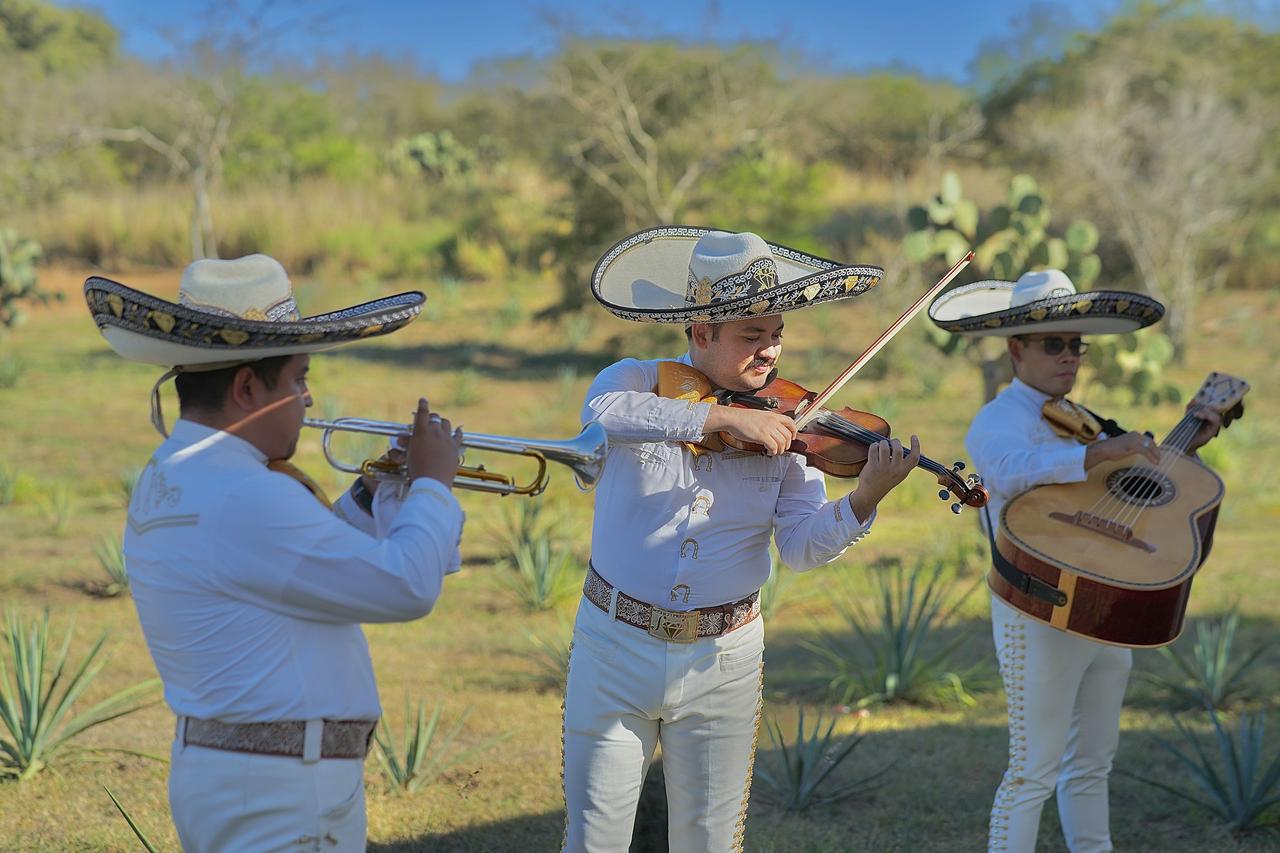 Mariachi tocando contratados con descuentos de Bodas.com.mx