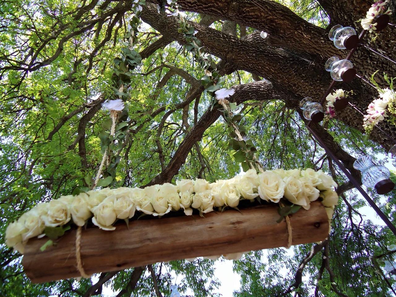 11 ideas para la decoración de los árboles en la boda - bodas.com.mx