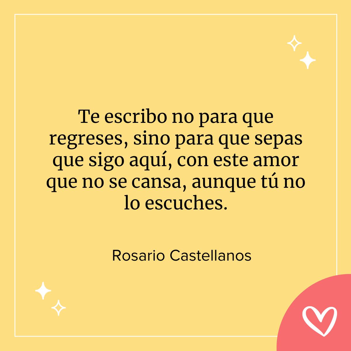 cartas famosas de amor: Te escribo no para que regreses, sino para que sepas que sigo aquí, con este amor que no se cansa, aunque tú no lo escuches.