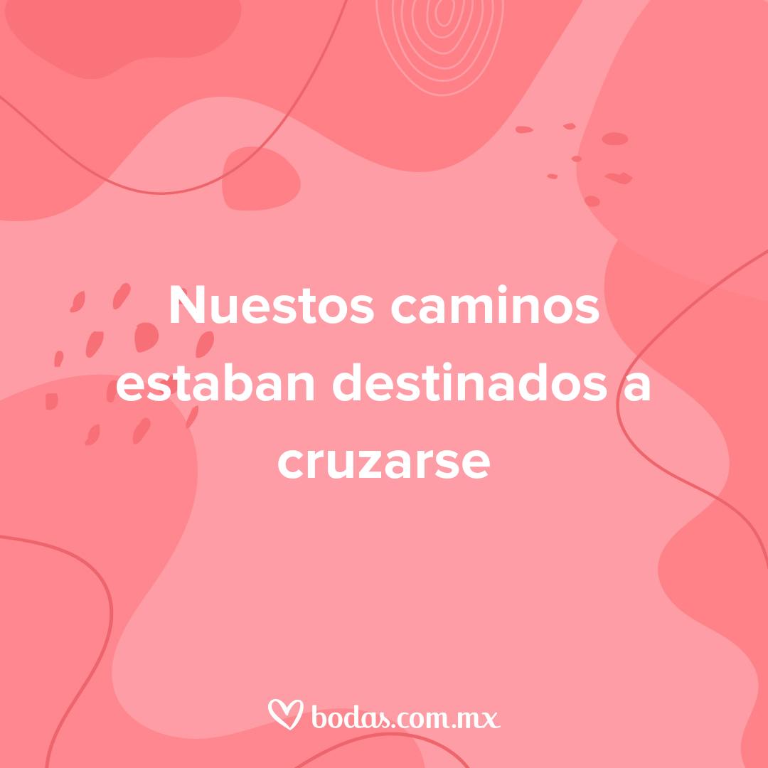 frases de amor para mi novio