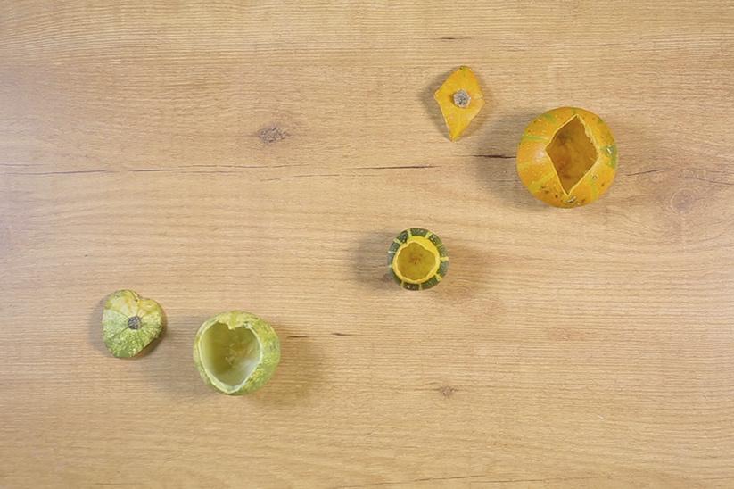 cabalazas para decoración