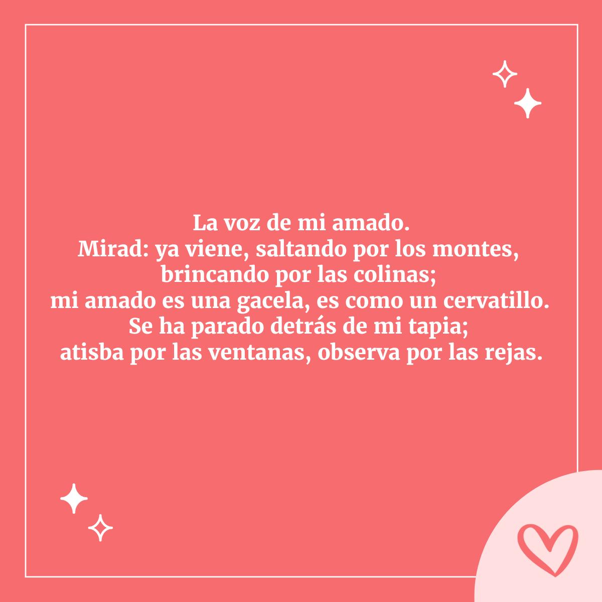 Textos bíblicos con declaraciones de amor puro; cantar de los cantares