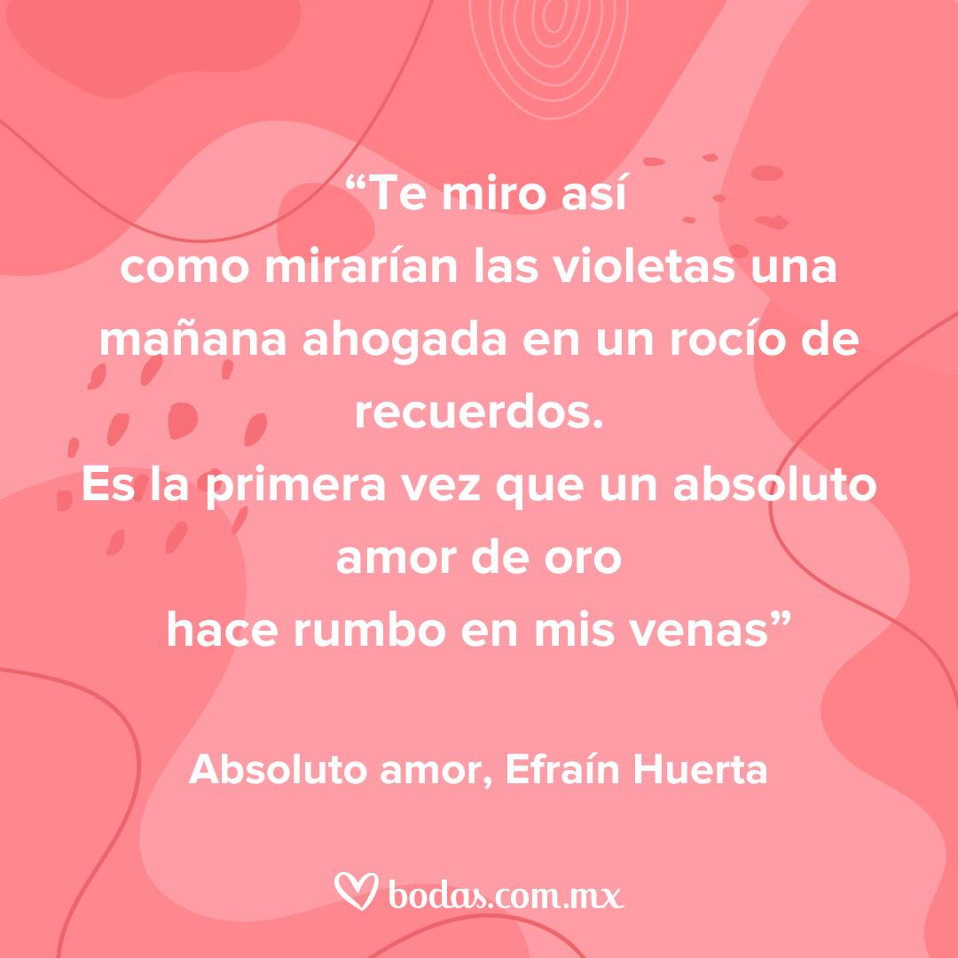 Poemas de amor para mi novia - bodas.com.mx