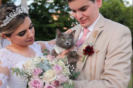 Gatos en la boda: siete ideas para que estén presente el gran día