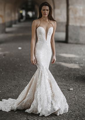 Ari, Galia Lahav