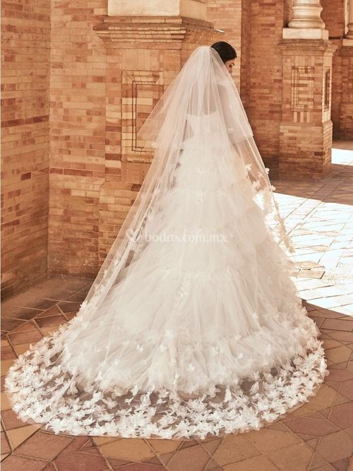 india, Marchesa