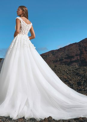 JEITA, Pronovias