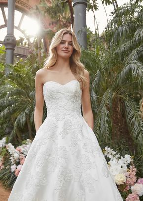 PLACEA, St. Patrick La Sposa