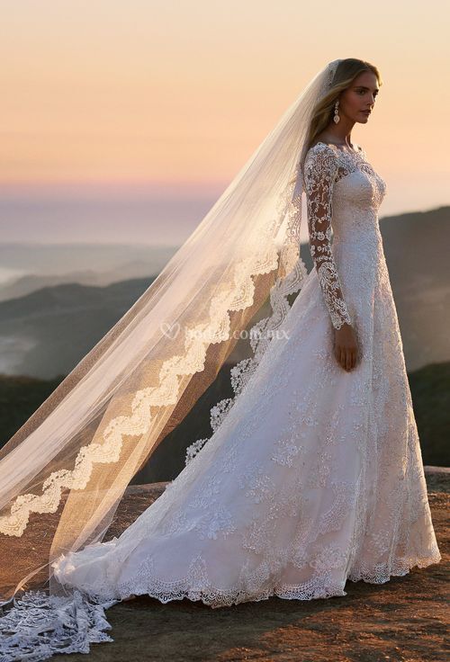david bridal oleg cassini