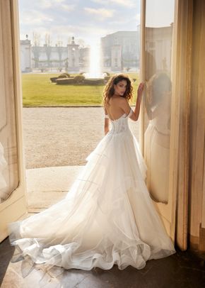 Dolly, Randy Fenoli