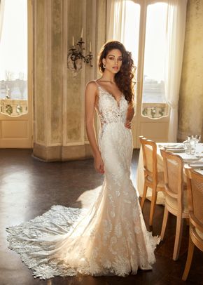 Drezden, Randy Fenoli