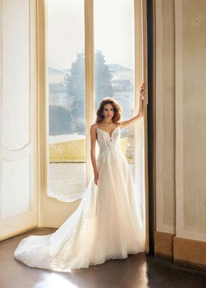 Desiree, Randy Fenoli