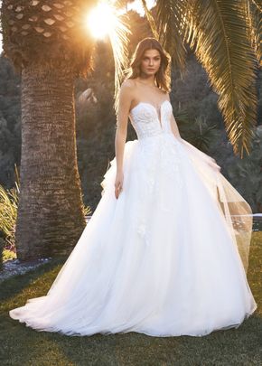 zulma, Pronovias