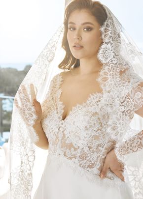 edie, Pronovias