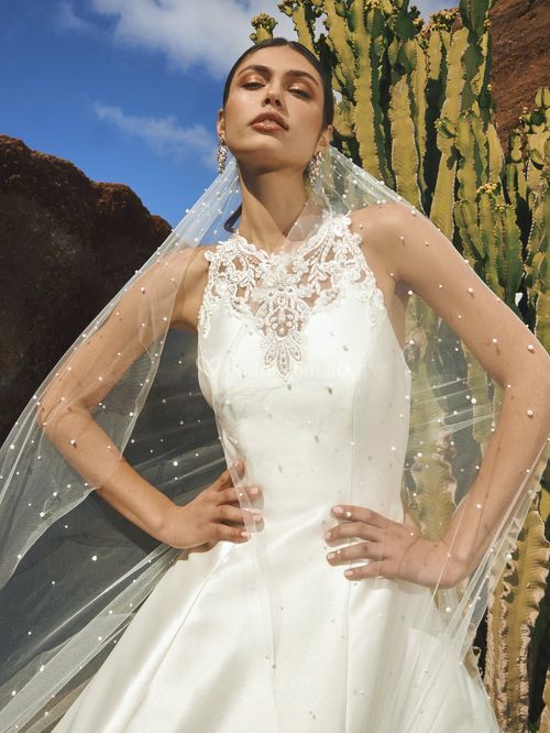 V-LA06, Pronovias