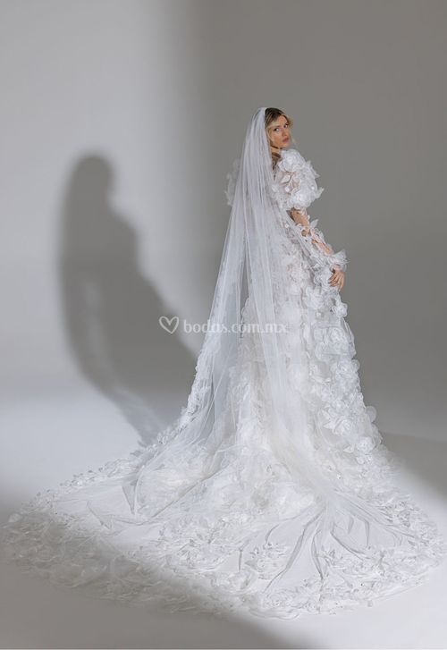 3528A, Pnina Tornai