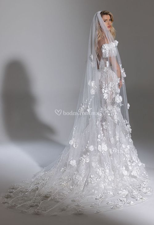 3526A, Pnina Tornai