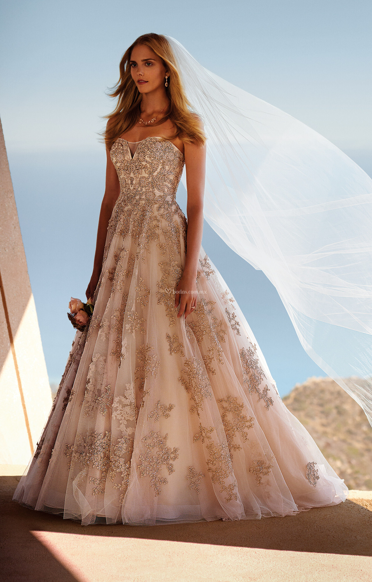 david bridal oleg cassini