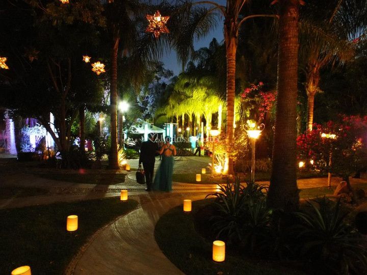 Salón con árboles frondosos 5