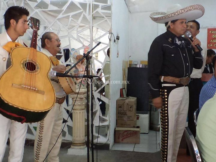 Mariachi Tapatío Desde 2,000 7 Fotos Presupuesto Gratis