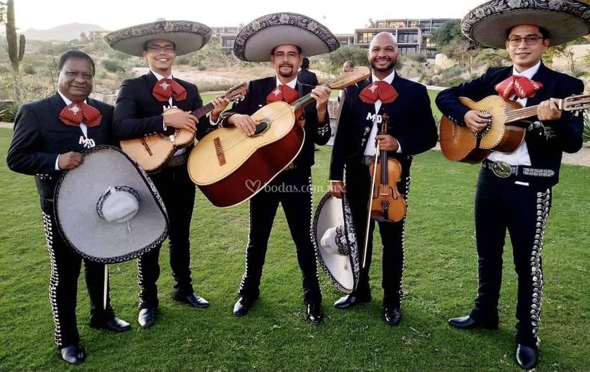 Mariachi Diaz Desde 5,000 13 Fotos Presupuesto Gratis