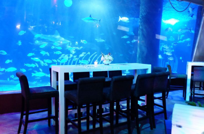 Acuario Inbursa