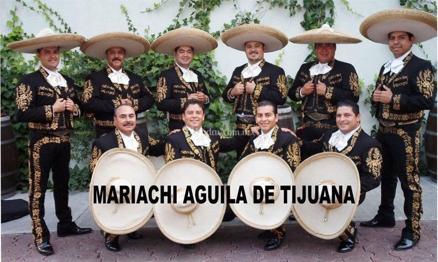 Mariachi Águila de Tijuana