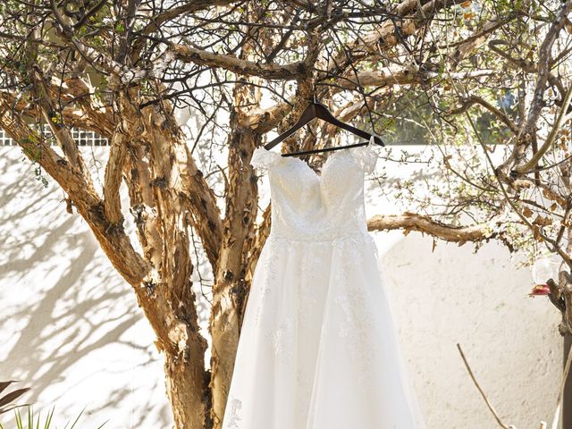 La boda de Ray y Valeria en San José del Cabo, Baja California Sur 3