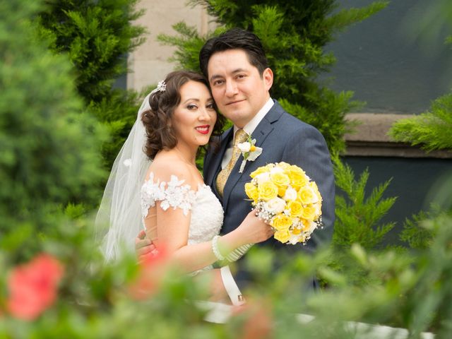 La boda de Luis y Cecilia en Toluca, Estado México 11