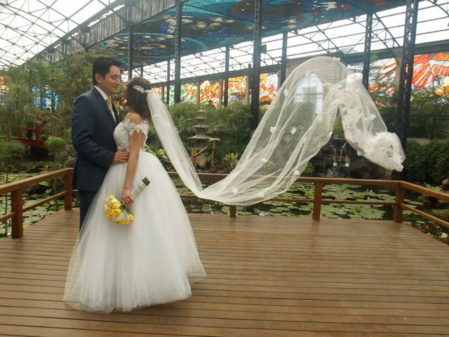 La boda de Luis y Cecilia en Toluca, Estado México 12