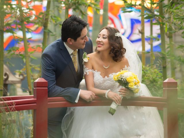 La boda de Luis y Cecilia en Toluca, Estado México 1