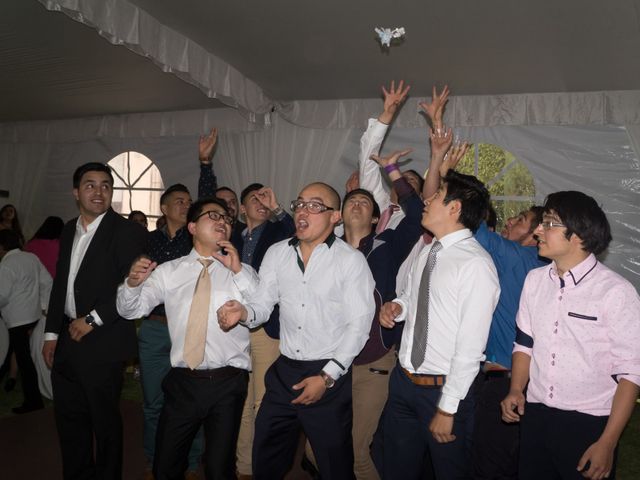 La boda de Luis y Cecilia en Toluca, Estado México 42