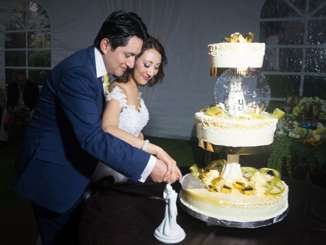 La boda de Luis y Cecilia en Toluca, Estado México 45