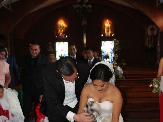 La boda de Mauricio Eugenio y Isenia Jaquelina en Xalapa, Veracruz 16