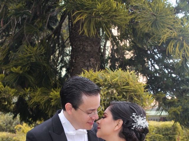 La boda de Mauricio Eugenio y Isenia Jaquelina en Xalapa, Veracruz 24