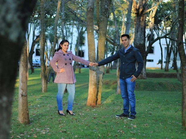 La boda de Santiago y Marina en Uruapan, Michoacán 5