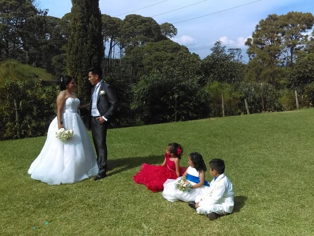 La boda de Santiago y Marina en Uruapan, Michoacán 10